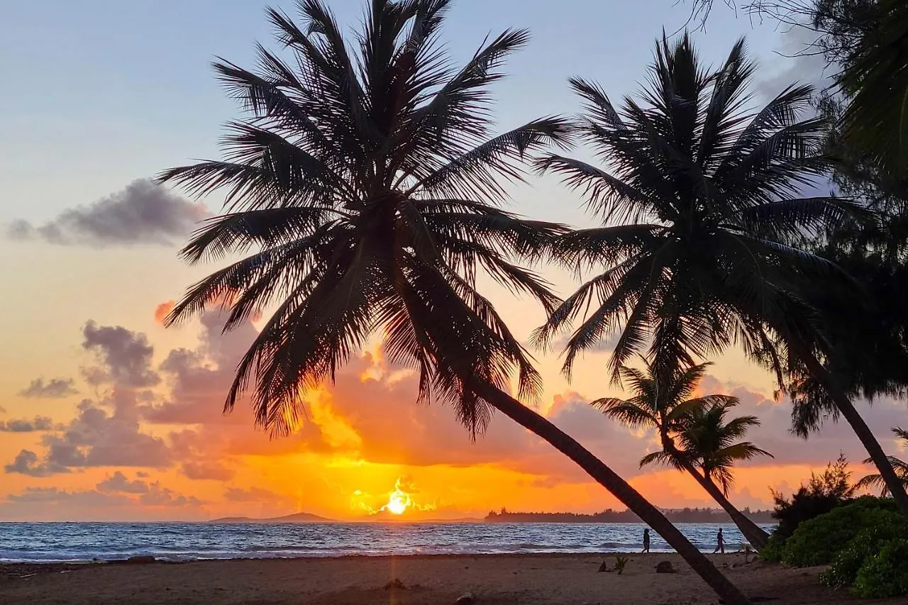 Coastal Puerto Rican Apartment - Walk To Beach! Rio Grande 0*,  Portoryko