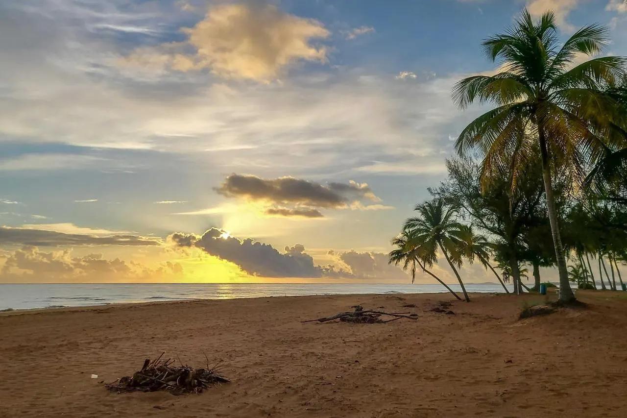 Coastal Puerto Rican Apartment - Walk To Beach! Rio Grande Portoryko